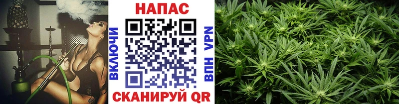 нарко площадка состав  hydra как зайти  Бошки Шишки White Widow  Пермь  хочу наркоту 